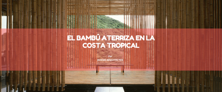 EL BAMBÚ ATERRIZA EN LA COSTA TROPICAL