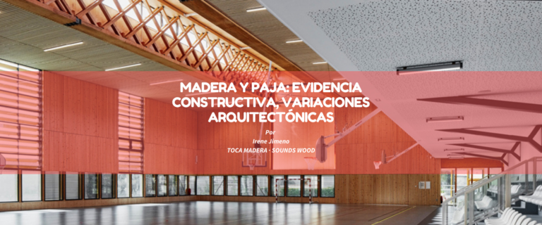 MADERA Y PAJA: EVIDENCIA CONSTRUCTIVA, VARIACIONES ARQUITECTÓNICAS