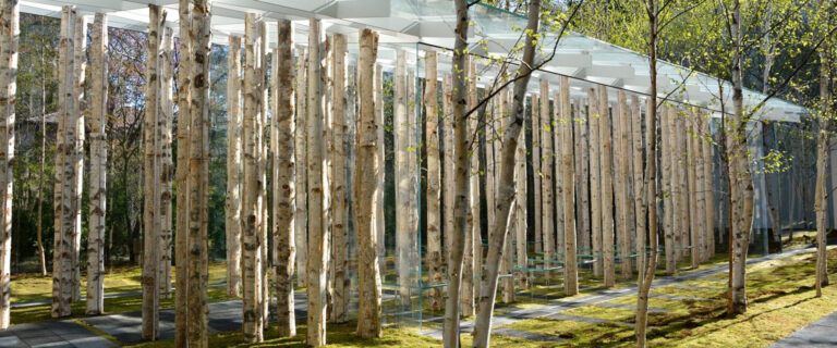 CAPILLA BIRCH MOSS #ARQUITECTURADEMADERA