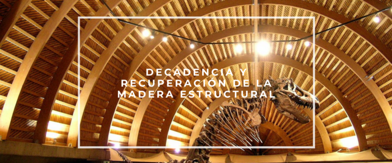 DECADENCIA Y RECUPERACIÓN DE LA MADERA ESTRUCTURAL